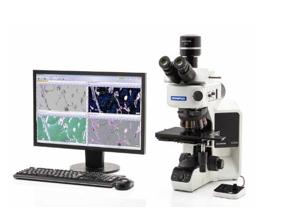 BX53M奧林巴斯金相顯微鏡